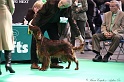 Crufts2011 515